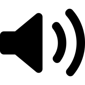 Dispatch/Call Audio Recording